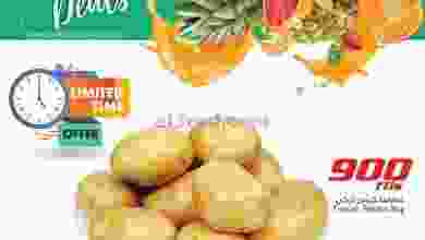 el3rod.com00001-225
