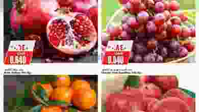 el3rod.com00001-235
