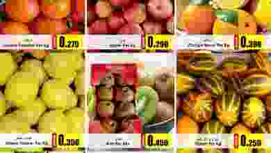 el3rod.com00001-236