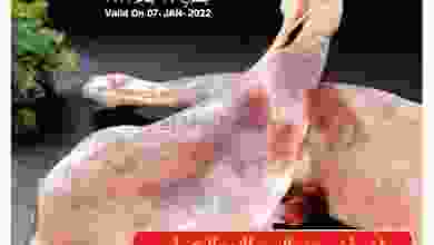 el3rod.com00001-253