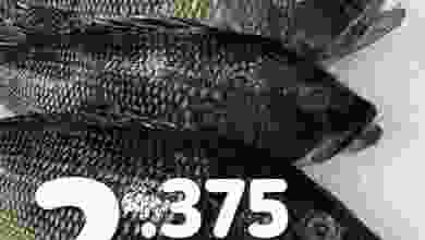 el3rod.com00001-258