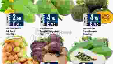 el3rod.com00001-3