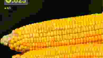 el3rod.com00001-331