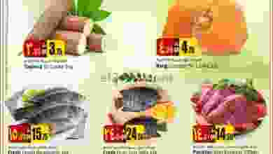 el3rod.com00001-337