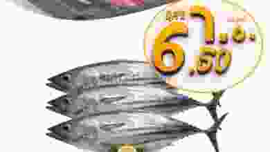 el3rod.com00001-355