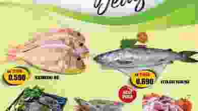 el3rod.com00001-402