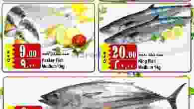 el3rod.com00001-403