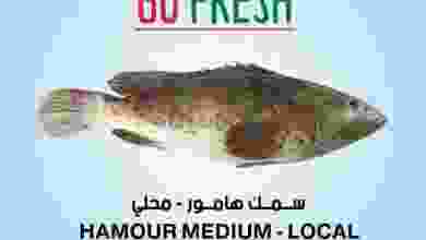 el3rod.com00001-416