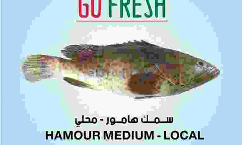 el3rod.com00001-416