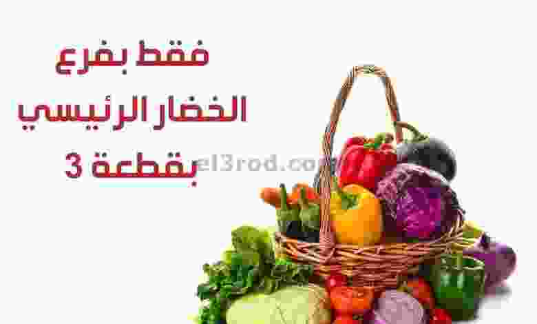 el3rod.com00001-425