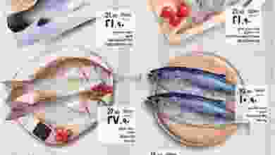el3rod.com00001-429