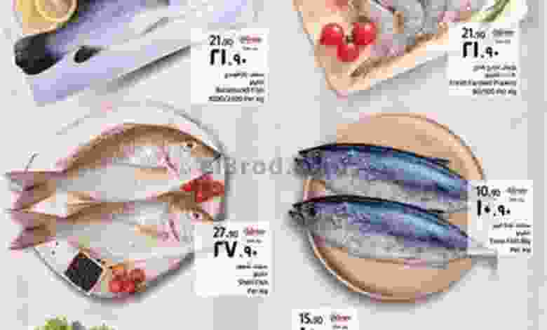 el3rod.com00001-429