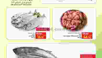 el3rod.com00001-432