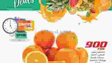 el3rod.com00001-529