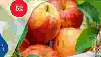 el3rod.com00001-59