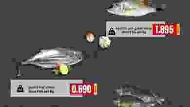 el3rod.com00001-609