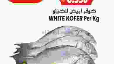 el3rod.com00001-612