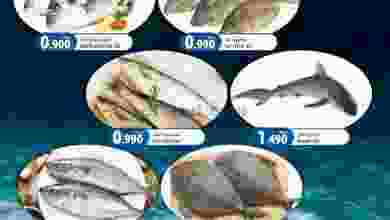 el3rod.com00001-657