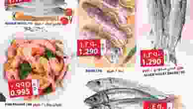 el3rod.com00001-695