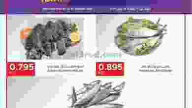 el3rod.com00001-697