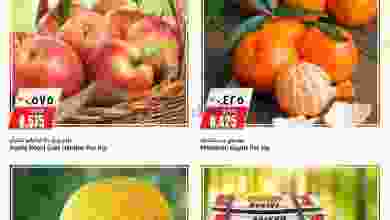 el3rod.com00001-78