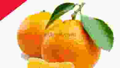 el3rod.com00001-82