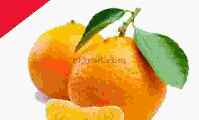 el3rod.com00001-82