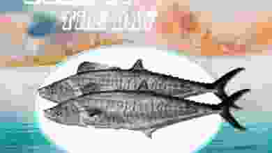 el3rod.com00001-988