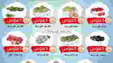 el3rod.com00002-245