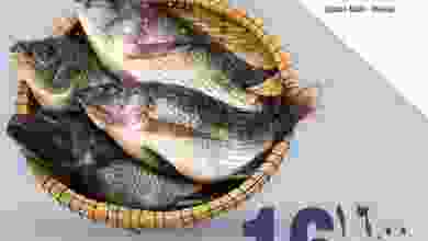 el3rod.com00002-339