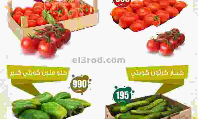 el3rod.com00002-569