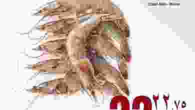 el3rod.com00002-644