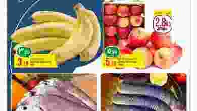 el3rod.com00002-69