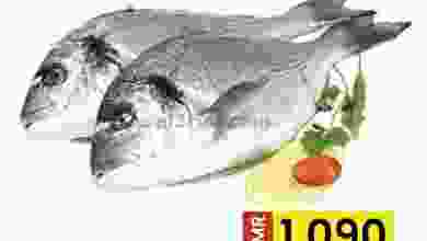 el3rod.com00002-816