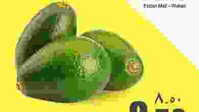 el3rod.com00002-927