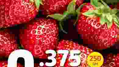 el3rod.com00002-935