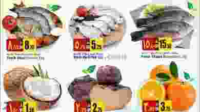 el3rod.com00002-99
