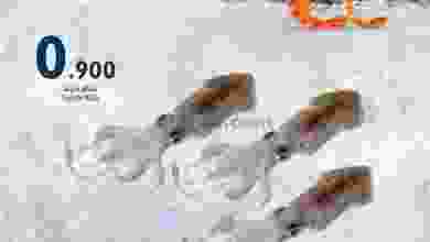 el3rod.com00003-203