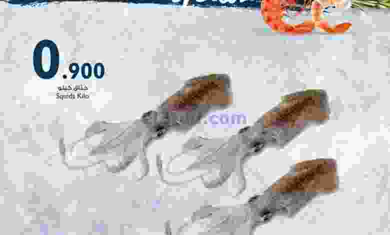 el3rod.com00003-203