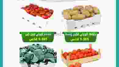 el3rod.com00003-98