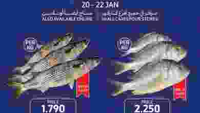 el3rod.com00004-552
