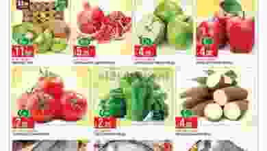 el3rod.com00004-586