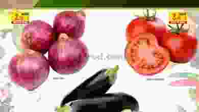 el3rod.com00004-593