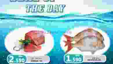 el3rod.com00001-1029