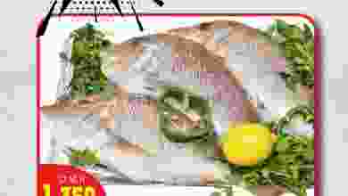 el3rod.com00001-1078