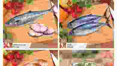 el3rod.com00001-11