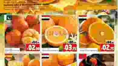 el3rod.com00001-1157