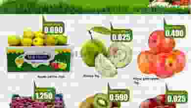 el3rod.com00001-1172
