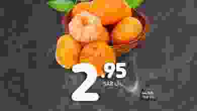 el3rod.com00001-1222