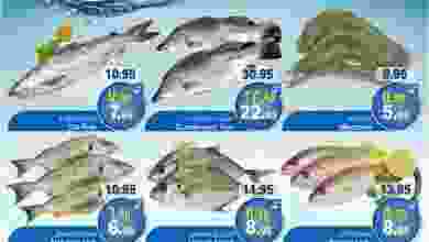 el3rod.com00001-1224